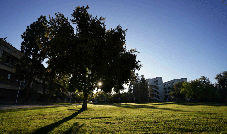 Campus landscape