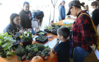 Food, Family and Farm Month includes a plant sale, wine tasting and more.