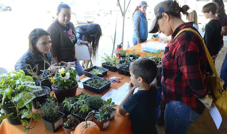 Food, Family and Farm Month includes a plant sale, wine tasting and more.