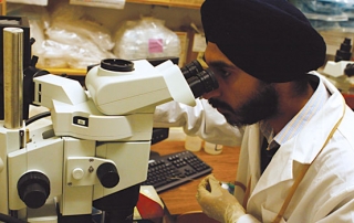 Student looking into a microscope