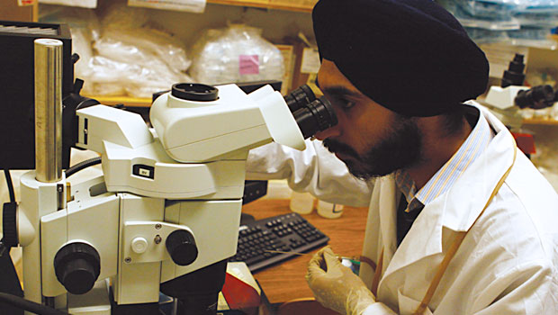 Student looking into a microscope