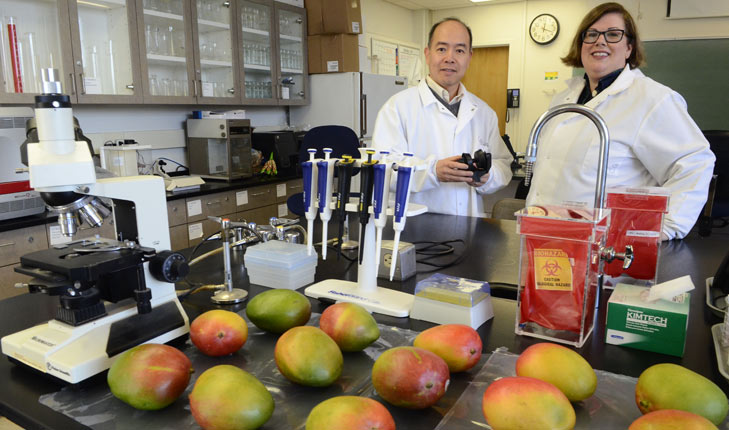 Stone Fruit research