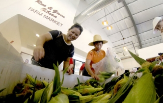 Fresno State Corn