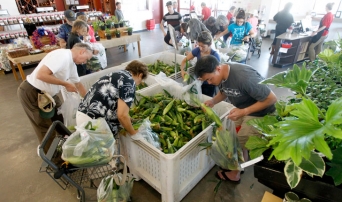 Rue and Gwen Gibson Farm Market Corn