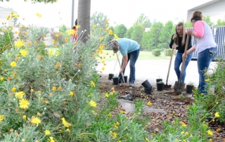 therapy garden