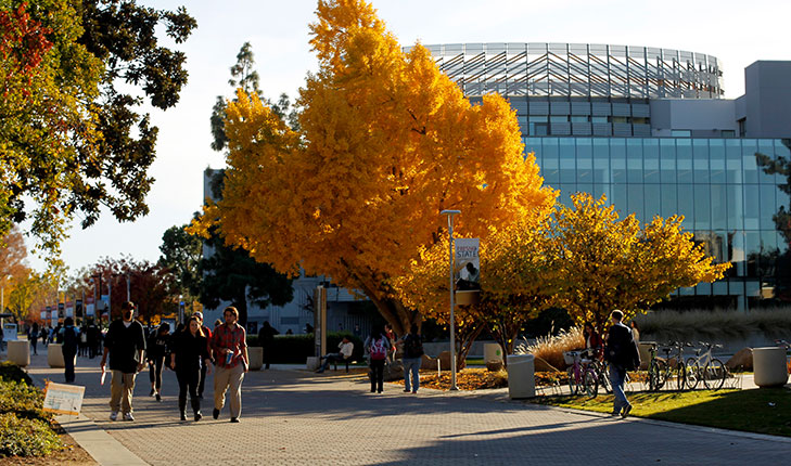 Students by the library