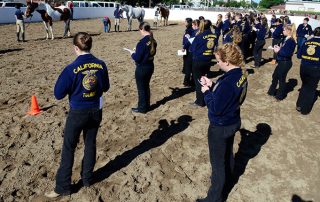 FFA Field Day Judging