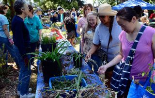 waterwise plant exchange