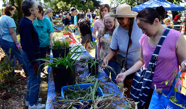 waterwise plant exchange