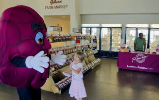 Gibson Farm Market Raisin Day