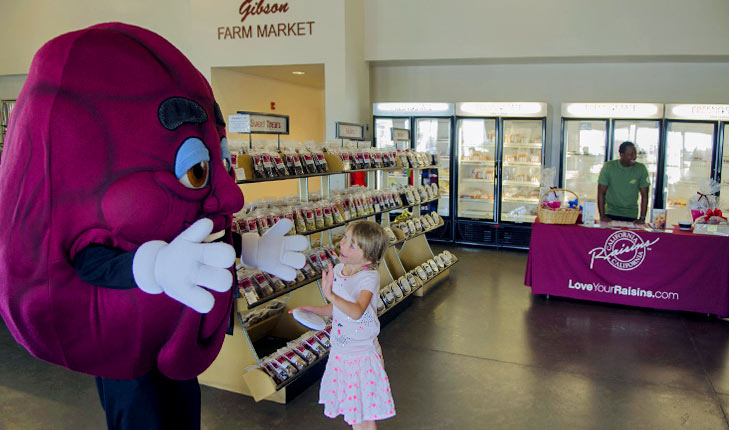 Gibson Farm Market Raisin Day