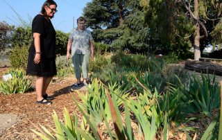 Fresno State horticulture unit manager Calliope Correia (black dress) and Iris Society member Pat Caffery inspect the John Weiler Memorial Garden, which features many iris hybrids that the former faculty member Weiler created and is located on campus at the horticulture unit