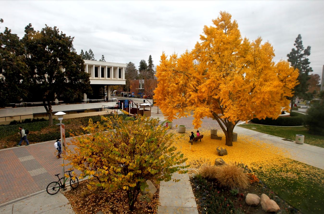 Fresno State ranked No. 3 nationally for ‘social mobility’