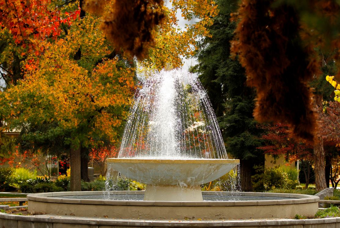 Local organizations receive $15,000 from Humanics Students4Giving Project at Fresno State