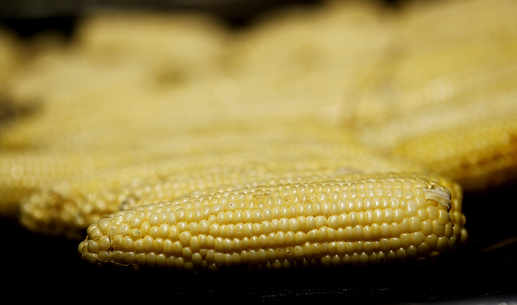 fresno state corn