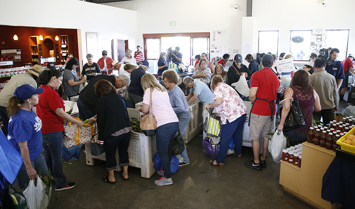 Popular Fresno State sweet corn arrives at Gibson Farm Market