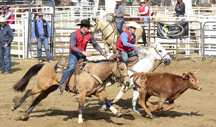 Bulldoggers rodeo club advances five qualifiers to nationals