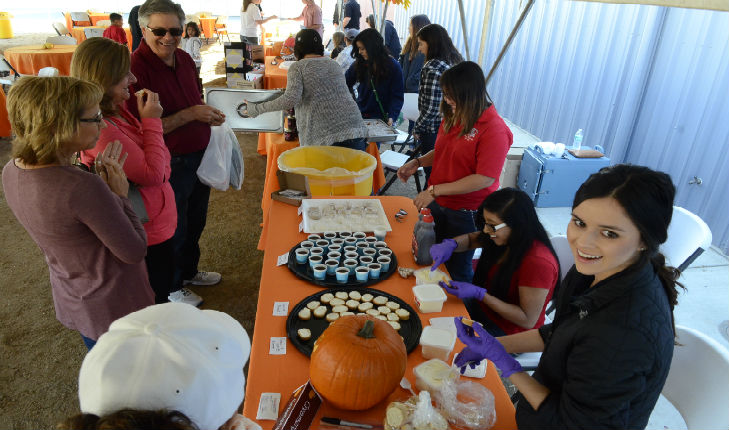 Gibson Farm Market Fall Festival features pumpkin patch, free food samples