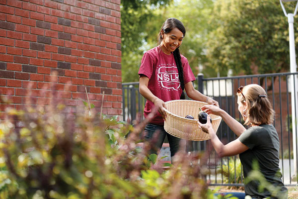 Student Cupboard Garden