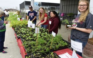 spring plant sale