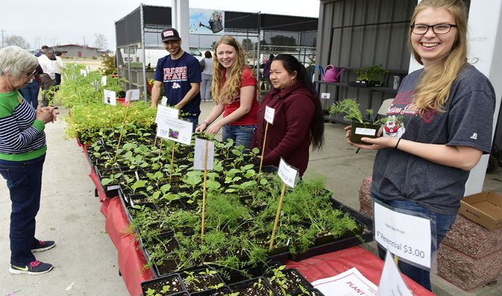 spring plant sale