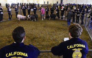 71st annual FFA field day event