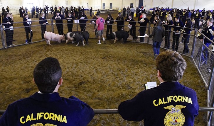 71st annual FFA field day event