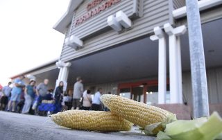 Sweet corn to go on sale June 7