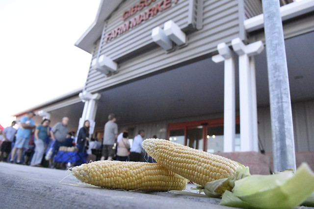 Sweet corn to go on sale June 7