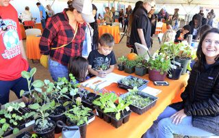 Gibson Farm Market Fall Festival