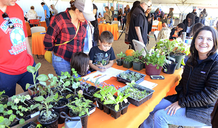 Gibson Farm Market Fall Festival