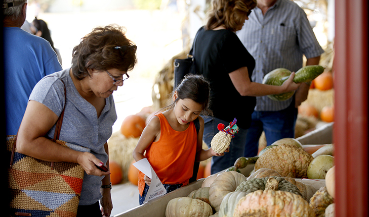 Food, Family and Farm Month
