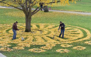 Leaf Art