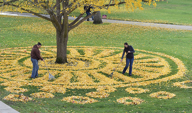 Leaf Art