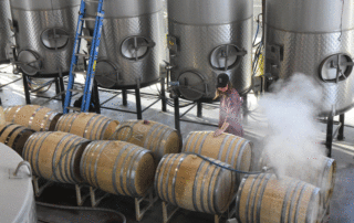 Student Brenna Pratt, Fresno State Winery