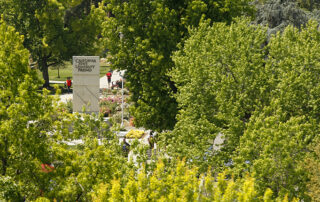 California State University, Fresno monument on campus seen through the green trees.