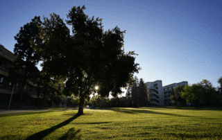 Campus landscape