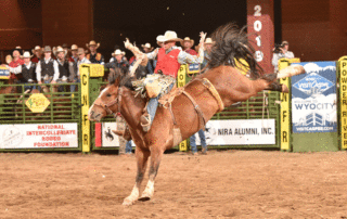 Reed Neely, rodeo