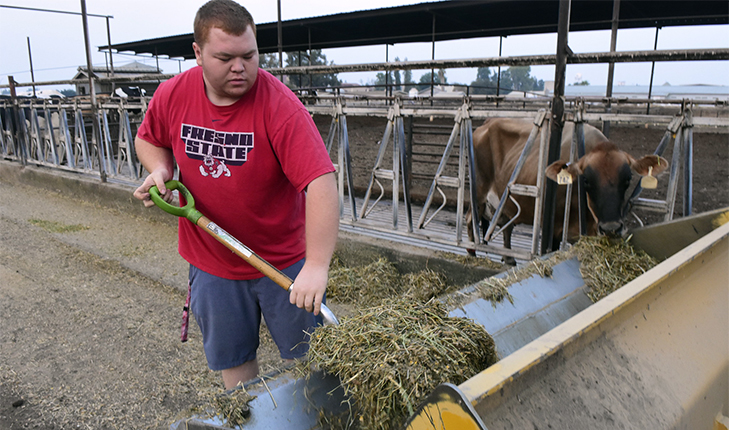 Riley Budd shoveling hay