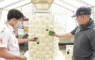 Plant science student Erick Cervantes studies hydroponics, an innovative method of growing plants in an aqueous solution.