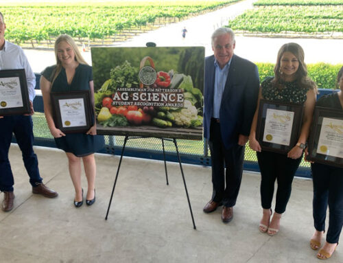 Ag students recognized for research, industry and community involvement