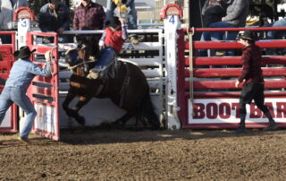 A student riding a horse in the rodeo