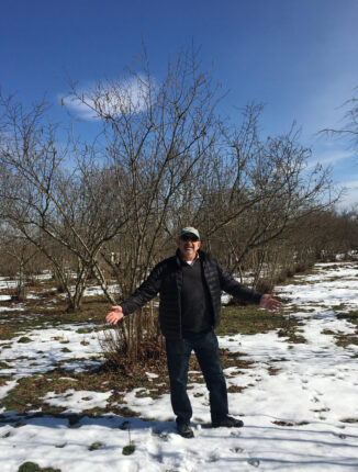 The nation of Georgia is one of the world's leading exporters of hazelnuts, a commodity that has received a great deal of attention as part of Fresno State's support for the country's integrated pest management, said Dr. Bill Erysian (pictured).