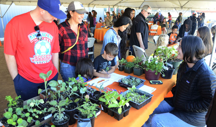 Gibson Farm Market