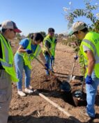 Tree planting of only students