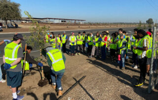 Tree planting