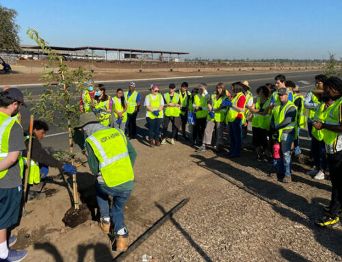 Fresno State volunteers plant trees on Clean Air Day