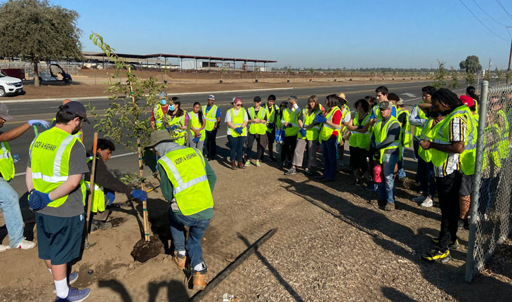 Tree planting