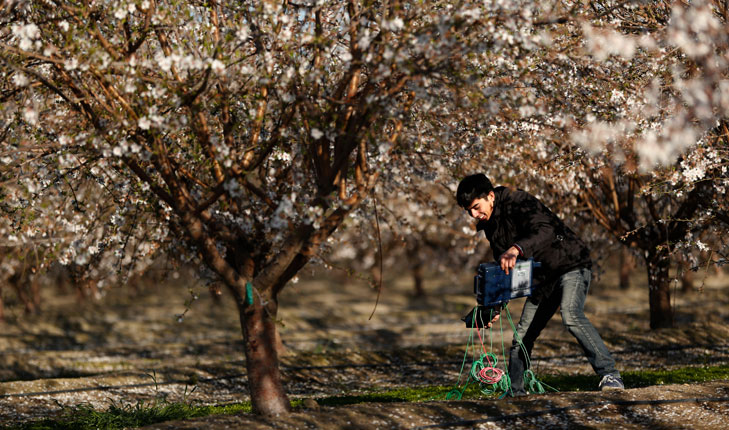 Changing these conditions is what Valley community and education leaders call a “national imperative” and the focus of the Fresno-Merced Future of Food Innovation Coalition, or F3, which was recently awarded $65.1 million in federal funding.