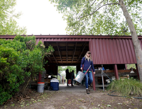 Students to serve 750 hours at local nonprofits over Spring Break